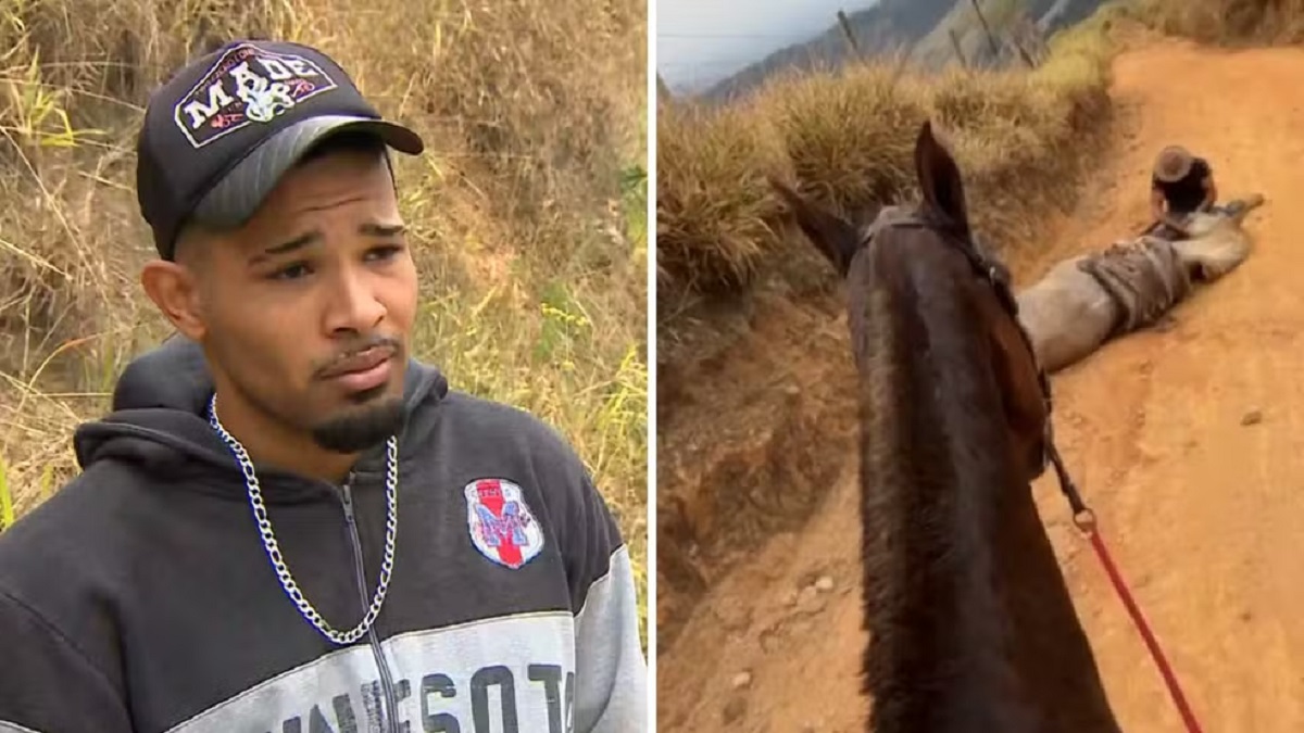 'Estão me julgando, eu não sou um monstro’, diz homem que confessou ter mutilado cavalo com facão em SP